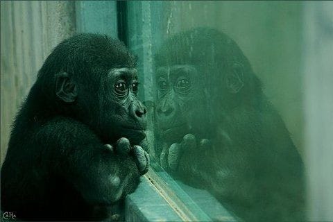 Quand la vie n'est plus que cauchemar !